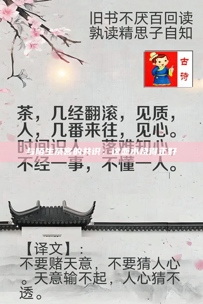 与陌生茶客的共识：这壶水烧得正好